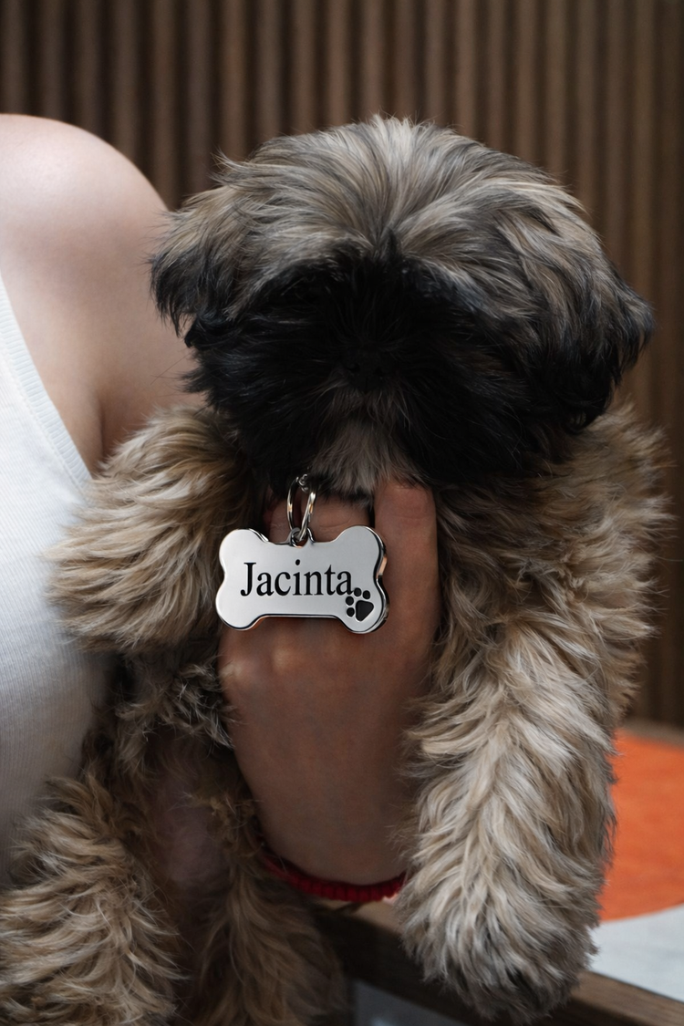 Placas Personalizadas